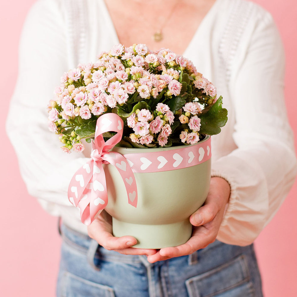 Growing Gifts