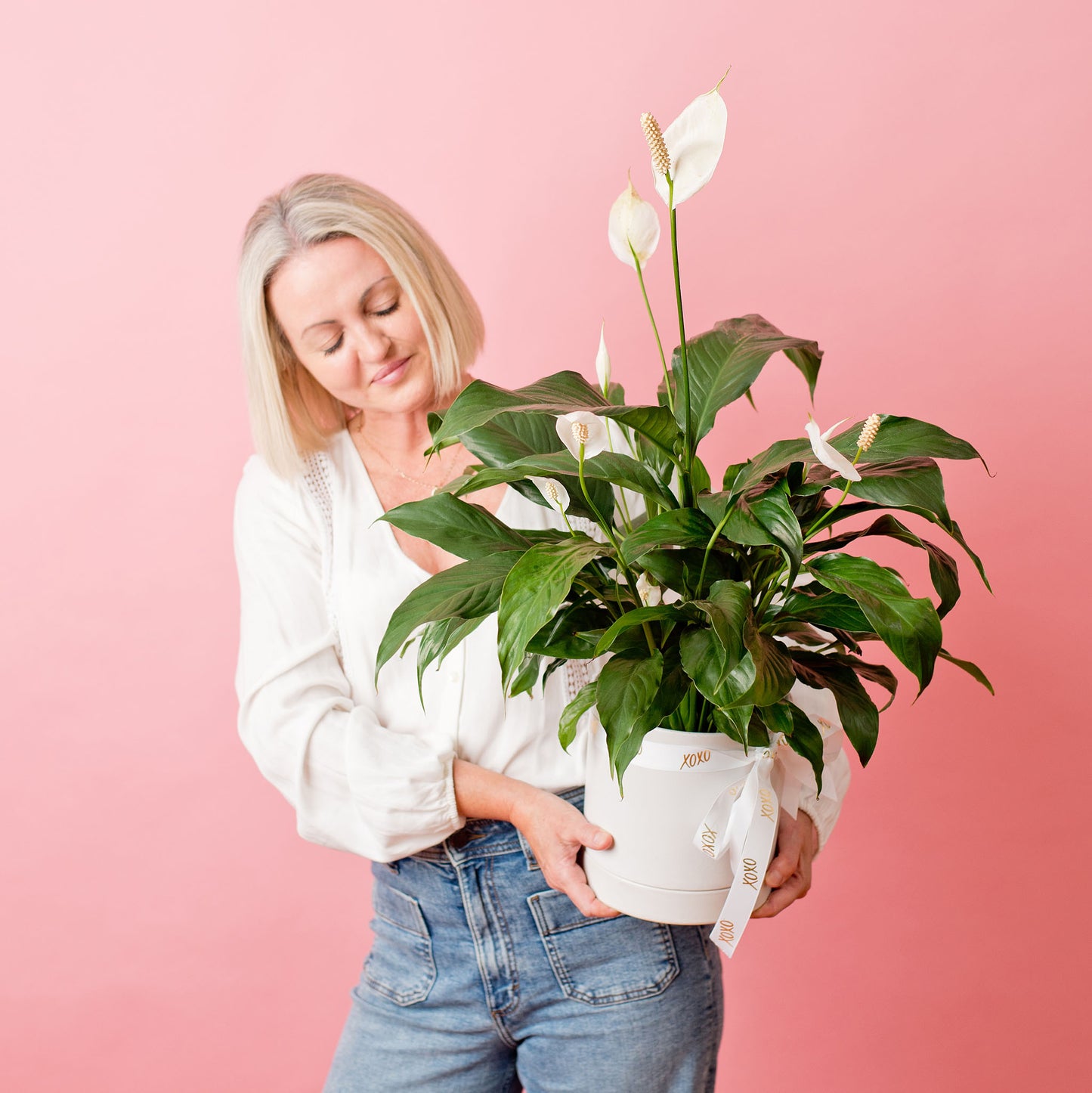 Peace Lily Potted