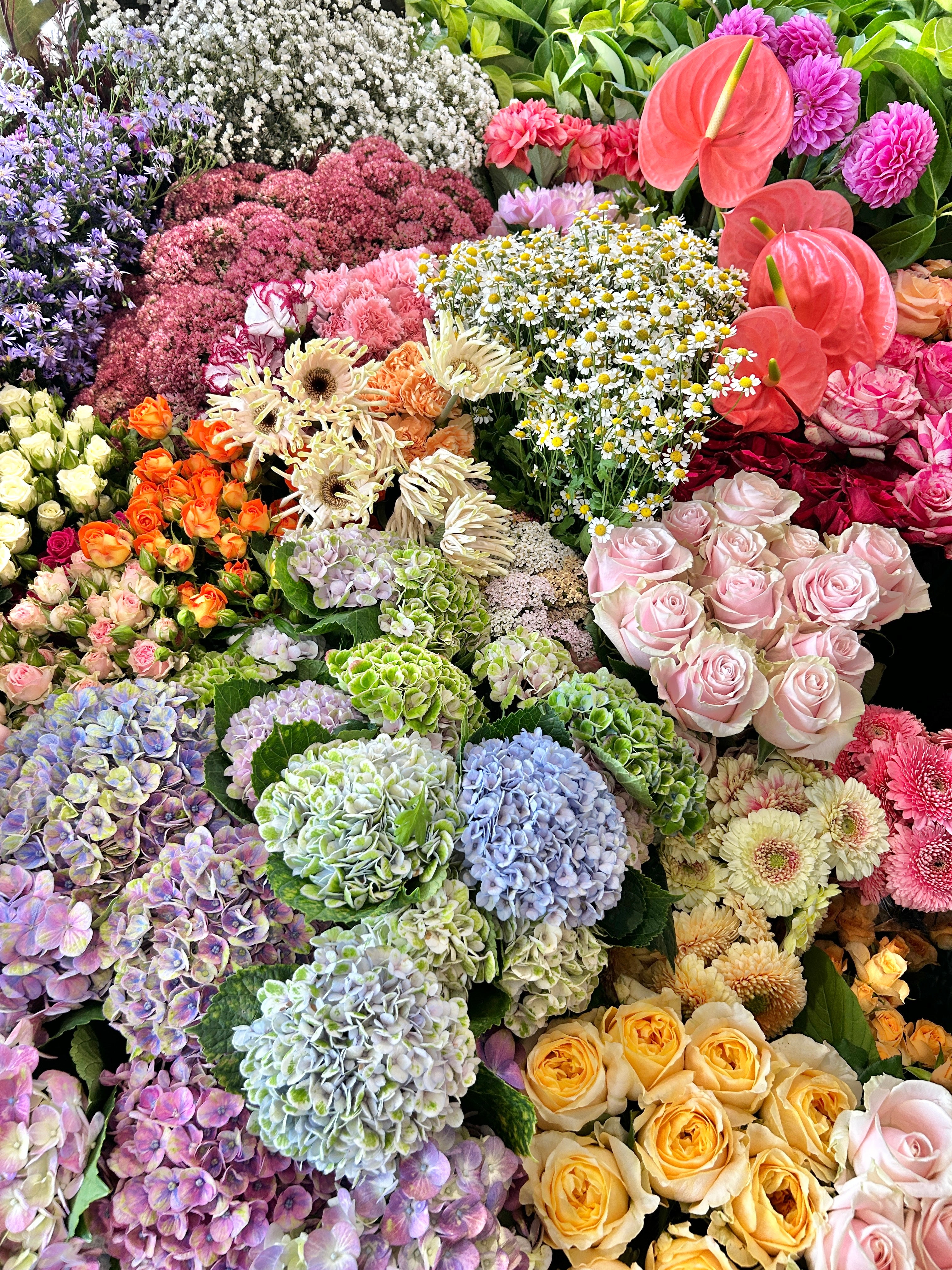 slideshow background